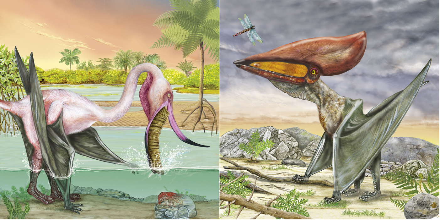 pterodaurus